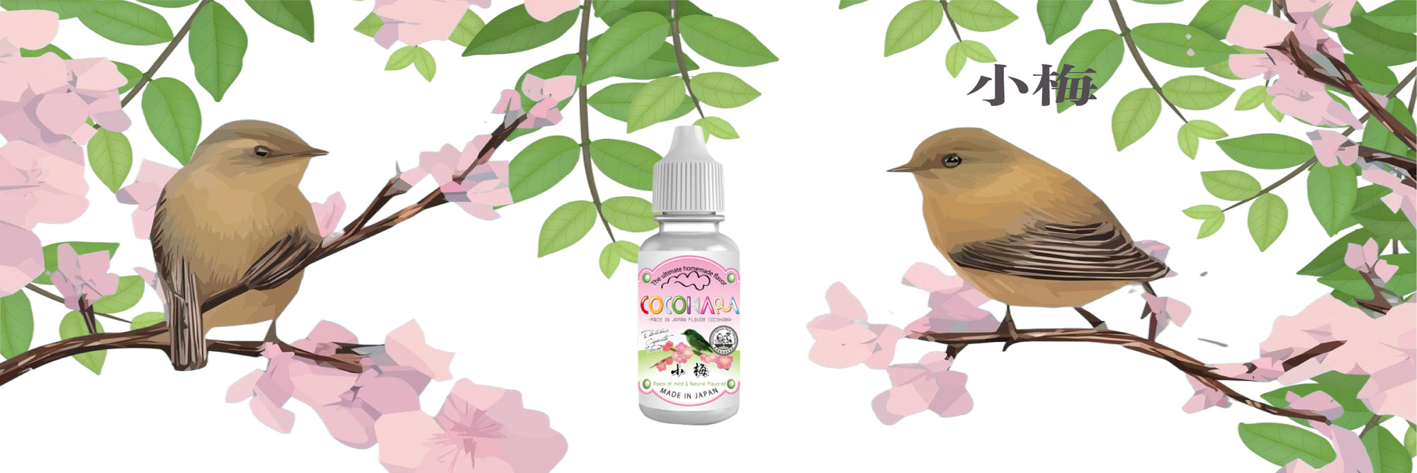 小梅香料